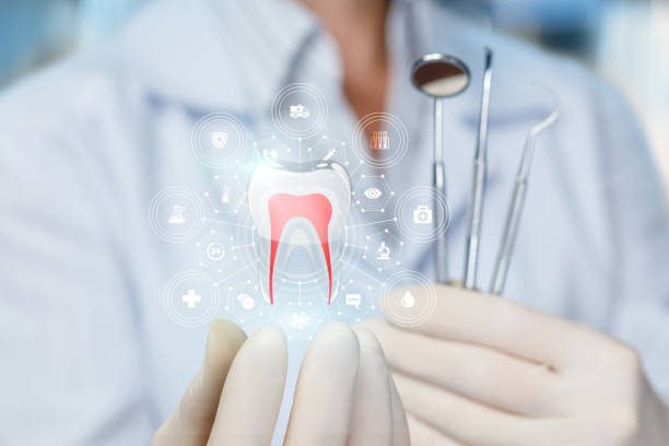 Best Full Mouth Reconstruction  in Zephyrhills North, FL