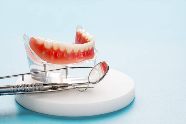 Best Invisalign and Clear Aligners  in Zephyrhills North, FL