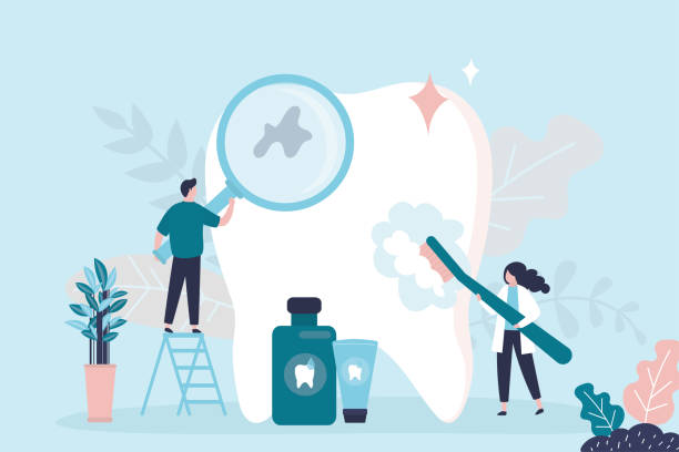 Best Root Canal Treatment  in Zephyrhills North, FL